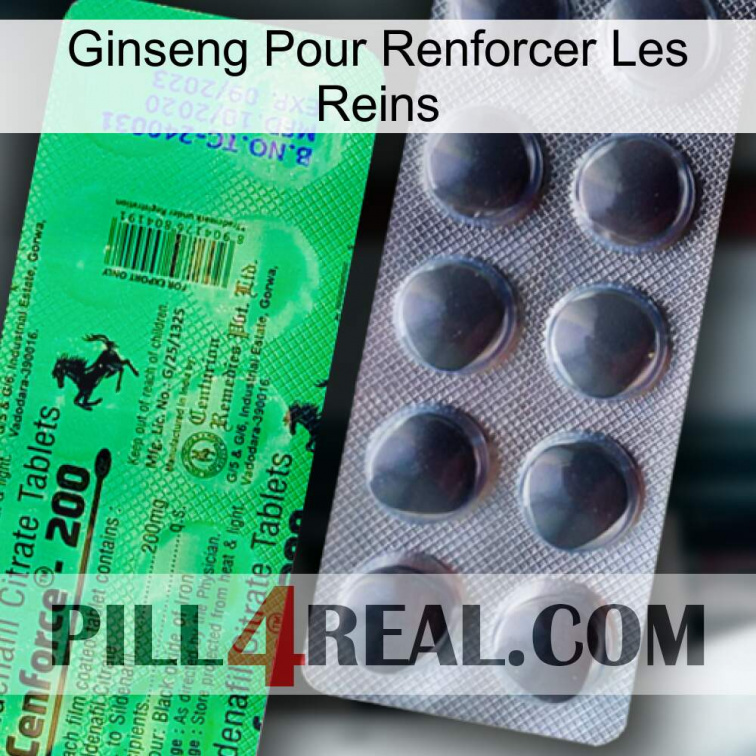 Ginseng For Reinforcing Kidney new04